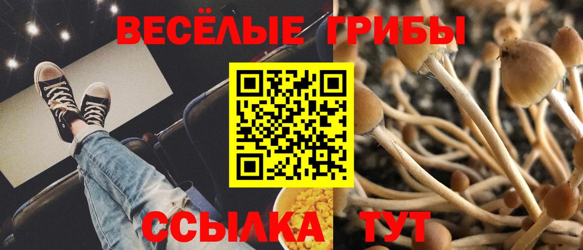 Ейск  Галлюциногенные грибы мицелий  Вход с VPN 