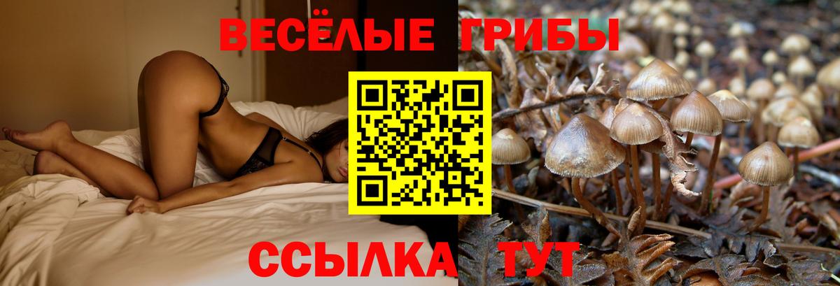 Псилоцибиновые грибы прущие грибы Ейск
